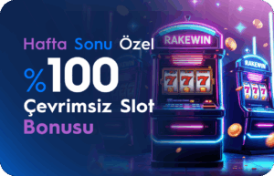 Rakewin118